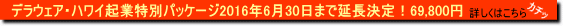 �f���E�F�A�E�n���C���ʃp�b�P�[�W�̐����y�[�W��